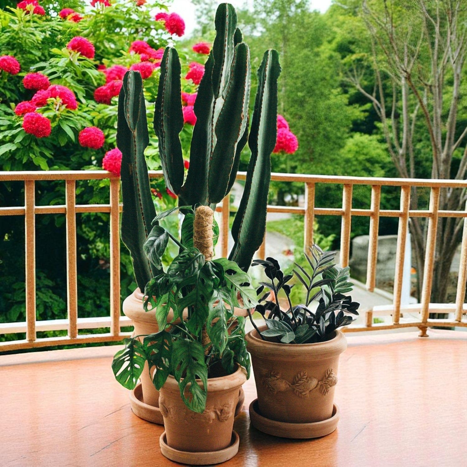 Terrakotta Pflanzgefäße