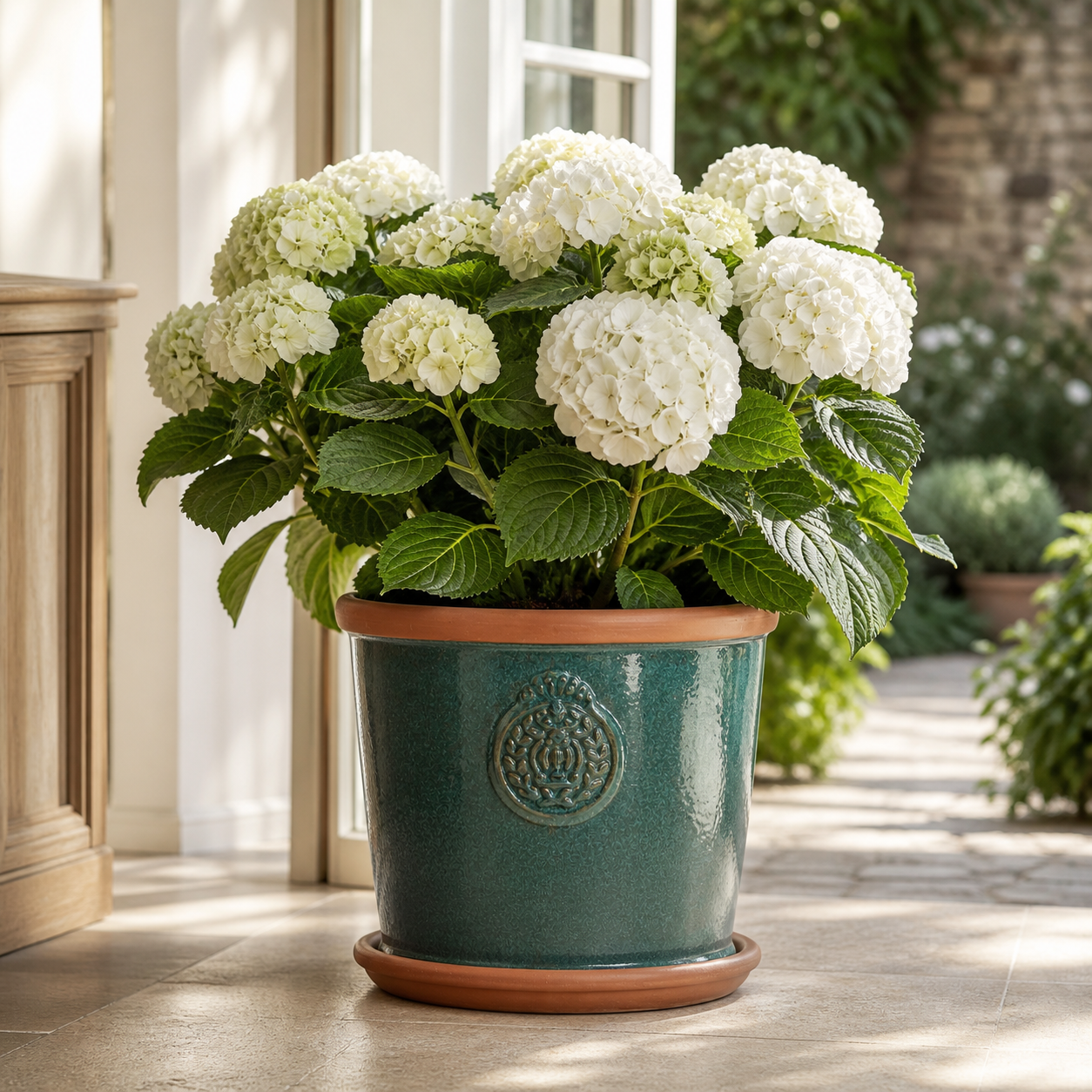 Italienischer Terrakotta-Pflanzteller Dunkel – 19 bis 48 cm