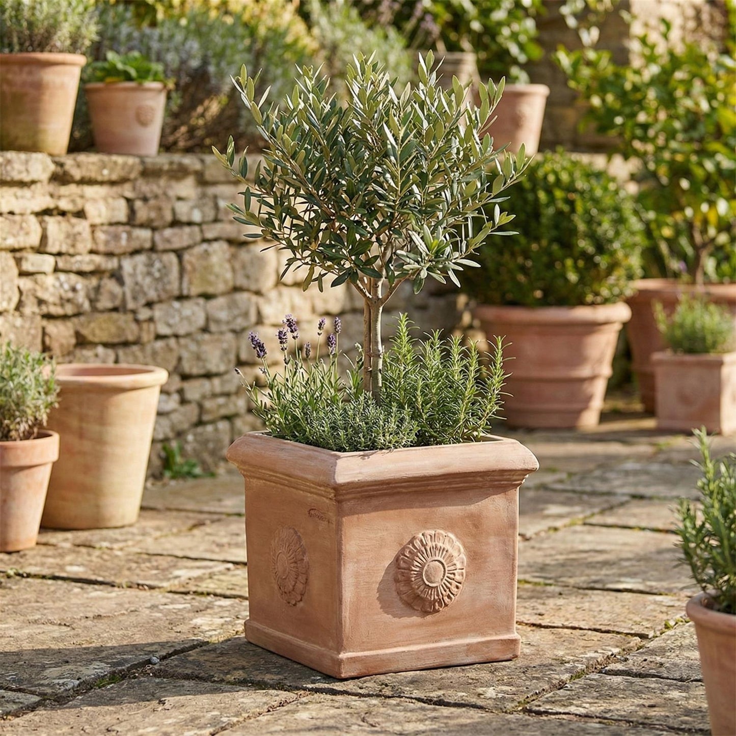 Terrakotta Topf quadratisch 25,8x25,8x24cm – frostfest & handgefertigt mit Rosette