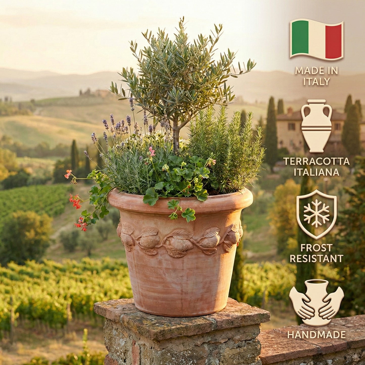 4er SET Pflanztöpfe Siena Conca Limoni 54x46cm XXL