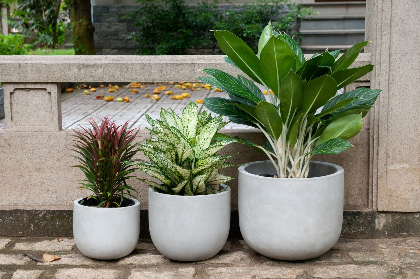 Blumentopf Pflanzkübel Modell "Dora" 24cm aus Beton