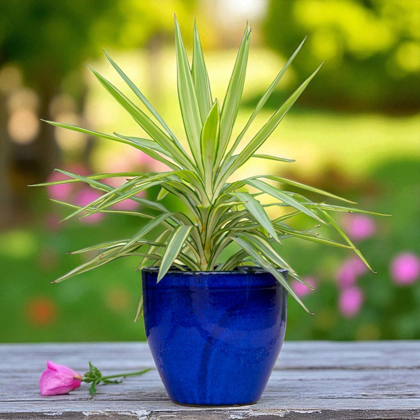 Blumentopf Pflanzgefäß Modell "EggPot" 30cm Keramik Royal Blau