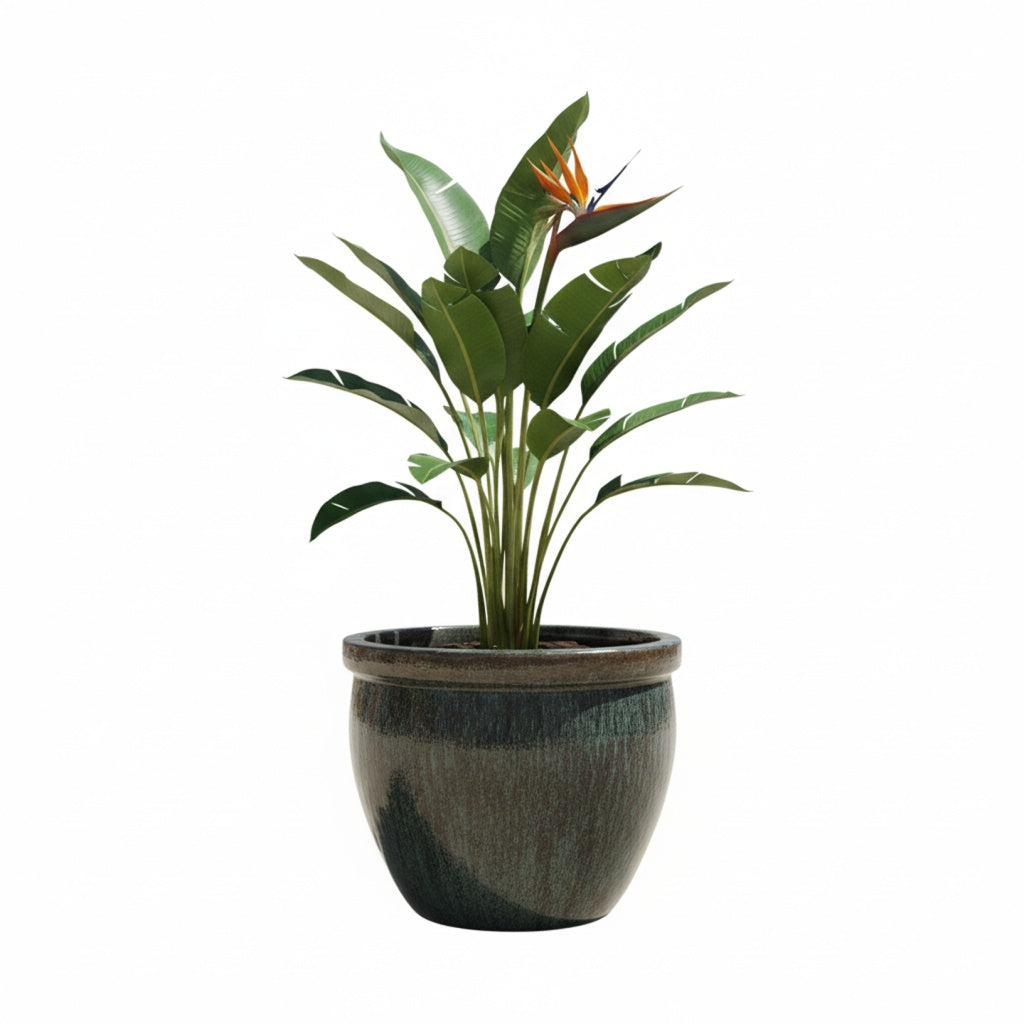 Keramik Pflanzgefäß-Serie "Bavaria Tall" Moosgrün – Wählbare Größen (21-37cm)