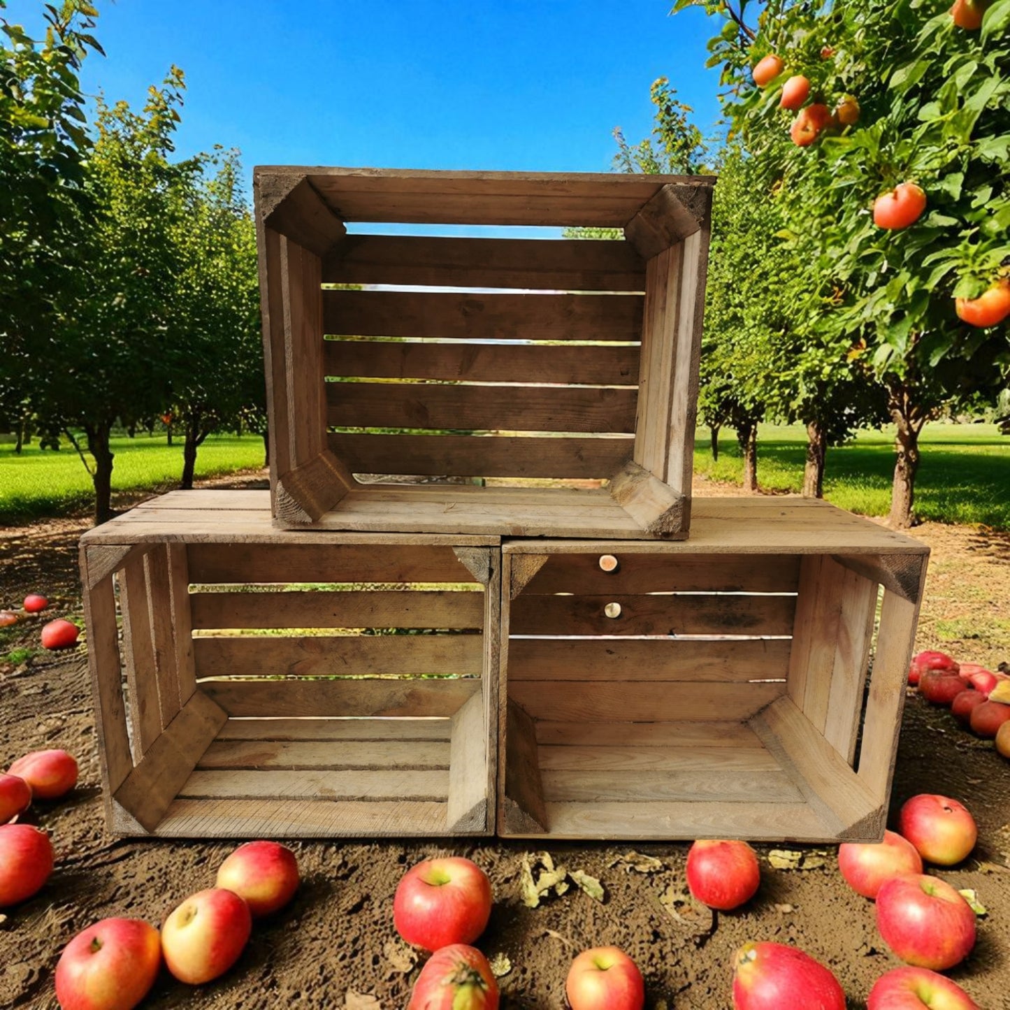 Obstkisten 3er Set 50 x 40 x 30cm B-Ware Vintage Natur