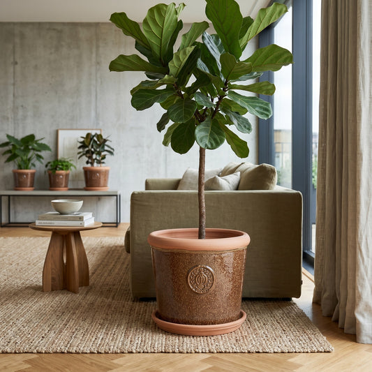Teramico Pflanzgefäß-Set Provence Braun mit Terracotta-Teller