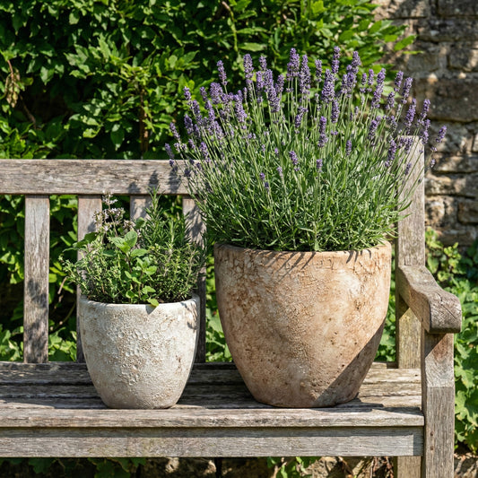 Pflanzgefäß Keramik "EGG-POT" Lava Weiß - Ø 21 - 38cm Frostfest