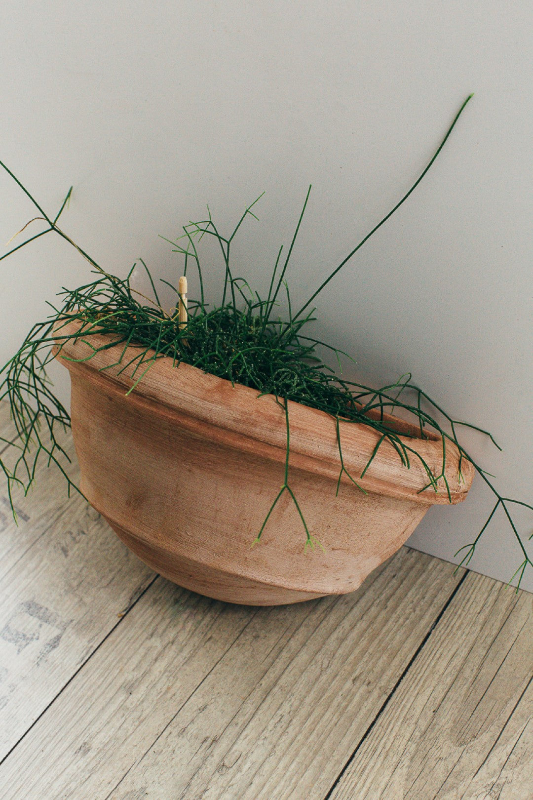 Jardinière murale en terre cuite 41 cm