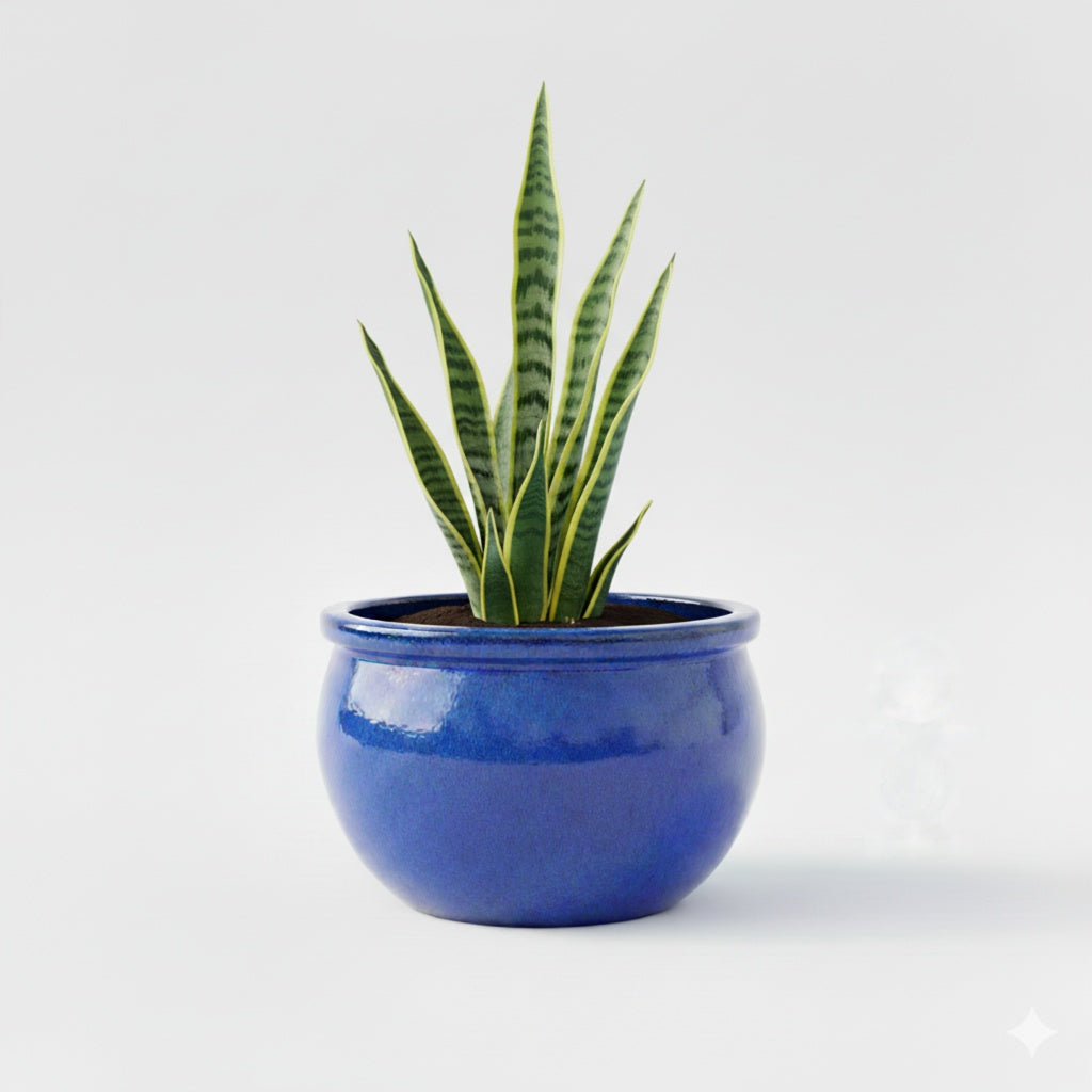 Keramik Pflanzschale "Bavaria" Royal Blau – Wählbare Größen (30-52cm)