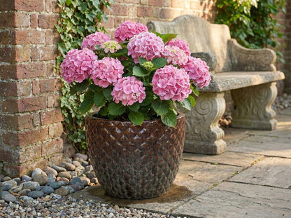 Keramik Pflanzgefäß "Bubble" Braun – Ø 38cm