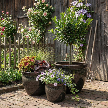 Pflanzgefäß "Tall" Braun – Ø 21 bis 37 cm – Frostfestes Steinzeug