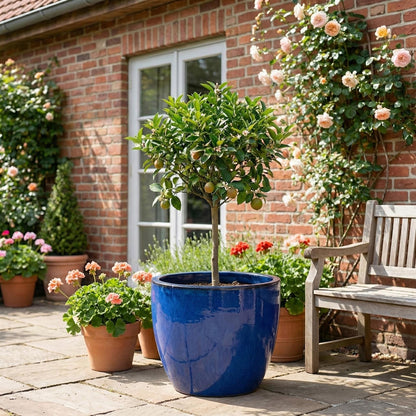 Egg Pot Royalblau Ø 38 cm – Keramik-Pflanztopf, 2. Wahl