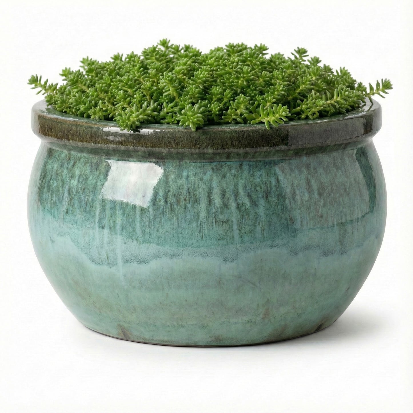 Pflanzschale flach "Moosgrün" – Ø 24 bis 49 cm – Massives Steinzeug