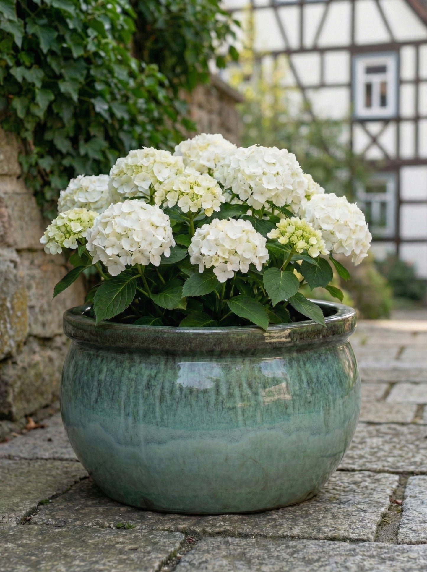 4er Set XXL Pflanzschale 49cm Moosgrün Keramik Steinzeug winterhart