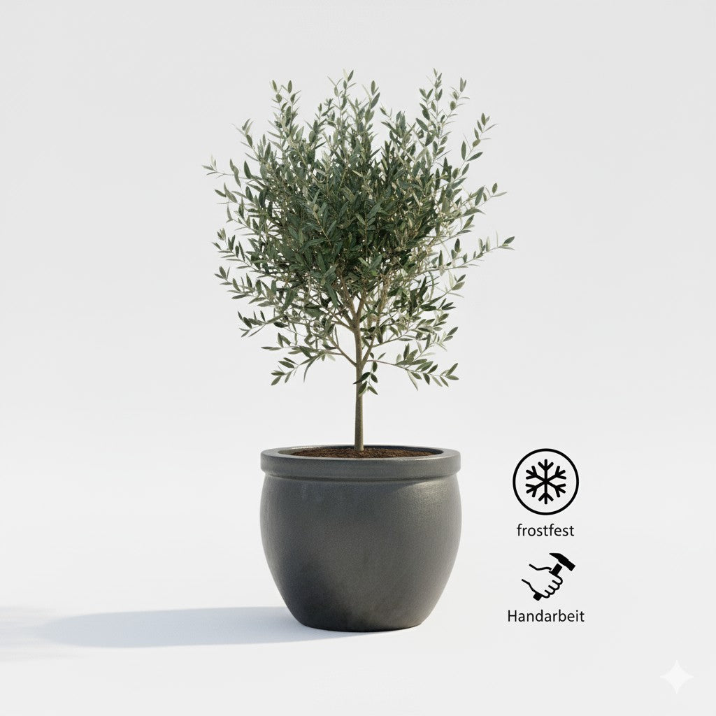 Keramik Pflanzgefäß "Bavaria" Anthrazit – Wählbare Größen (21-37cm