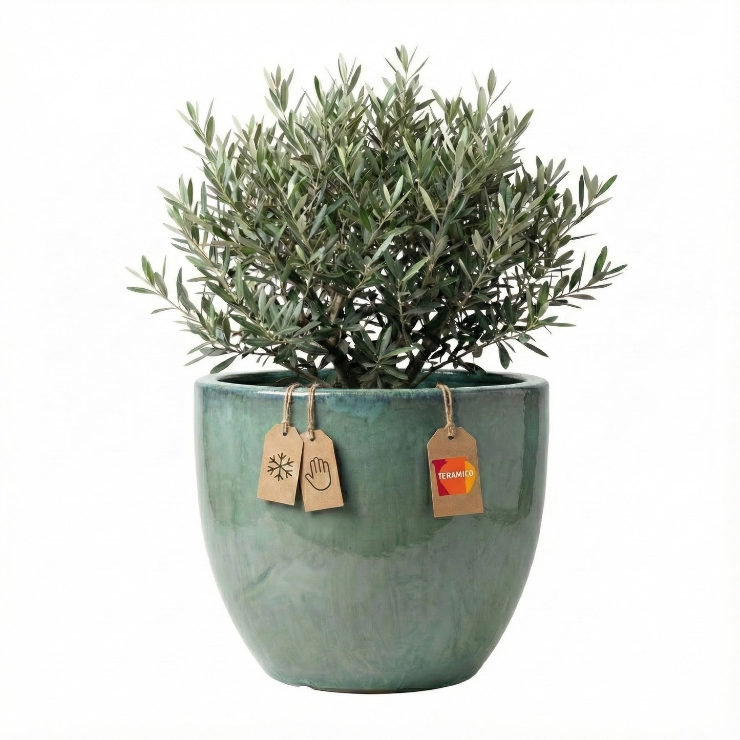 Pflanzgefäß "Egg Pot" Grün – Ø 21 bis 48 cm – Glasiertes Steinzeug