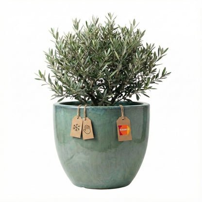 Pflanzgefäß "Egg Pot" Grün – Ø 21 bis 48 cm – Glasiertes Steinzeug