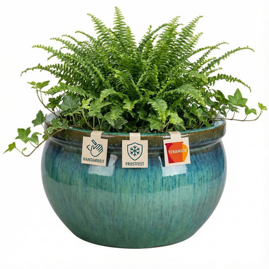 Pflanzschale flach "Moosgrün" – Ø 24 bis 49 cm – Frostfestes Steinzeug