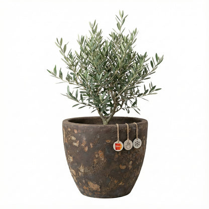 Keramik Pflanzgefäß "Egg Pot" Lava Braun Ø 38cm – Geschliffen & Struktur