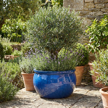 Keramik Pflanzschale Bavaria Royal Blau - Wählbare Größen (24-49cm) Frostfest