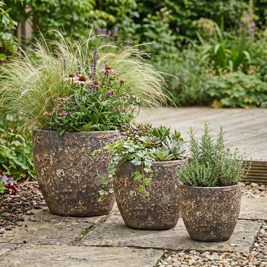 Pflanzgefäß Keramik "EGG-POT" Lava Braun - Ø 21 - 38cm Frostfest