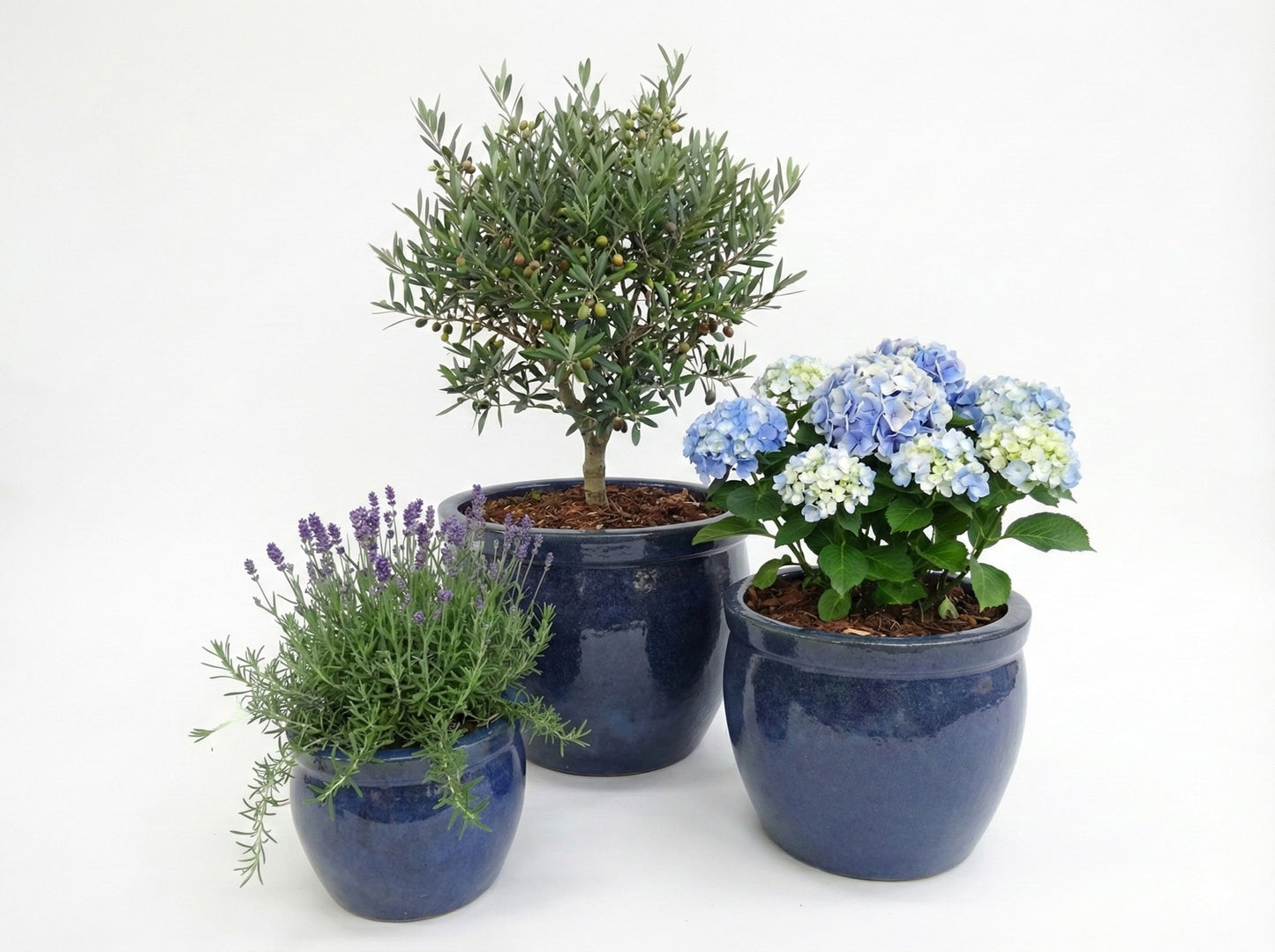 Keramik Pflanzgefäß-Serie "Bavaria Tall" Anthrazitgrau – Wählbare Größen