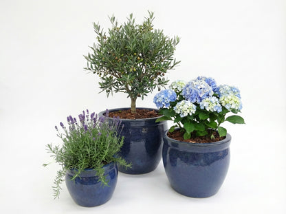 Keramik Pflanzgefäß-Serie "Bavaria Tall" Anthrazitgrau – Wählbare Größen