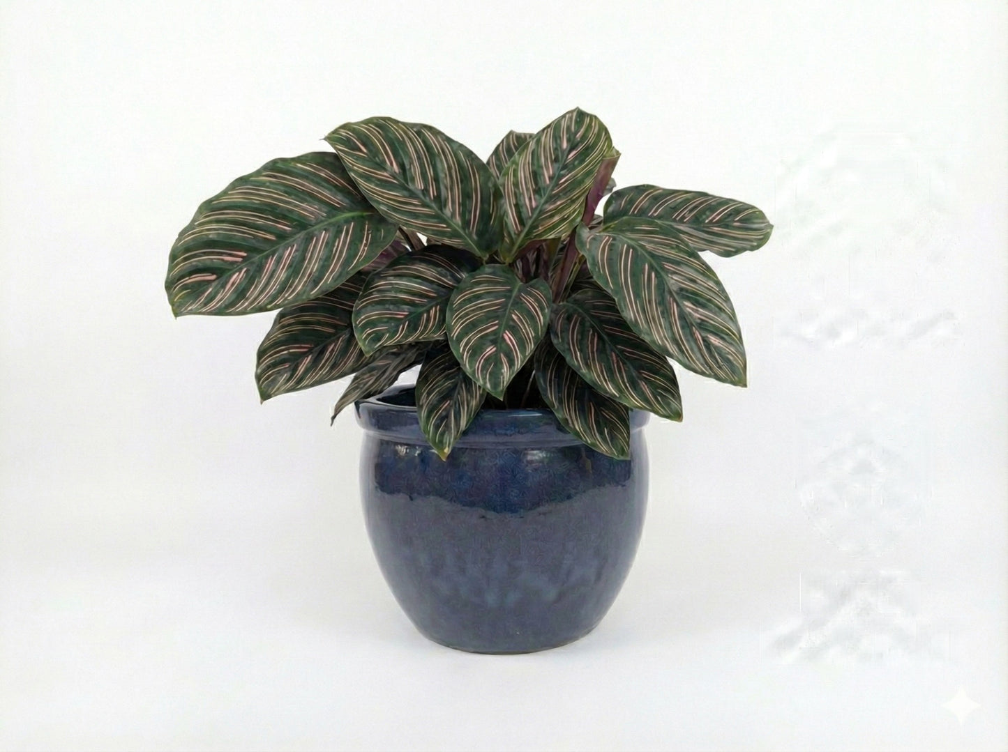 Keramik Pflanzgefäß-Serie "Bavaria Tall" Anthrazitgrau – Wählbare Größen