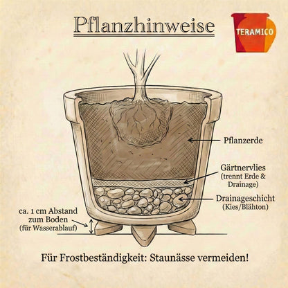 Pflanzgefäß "Round Plain" Moosbraun – Ø 18 bis 47 cm – Frostfestes Steinzeug