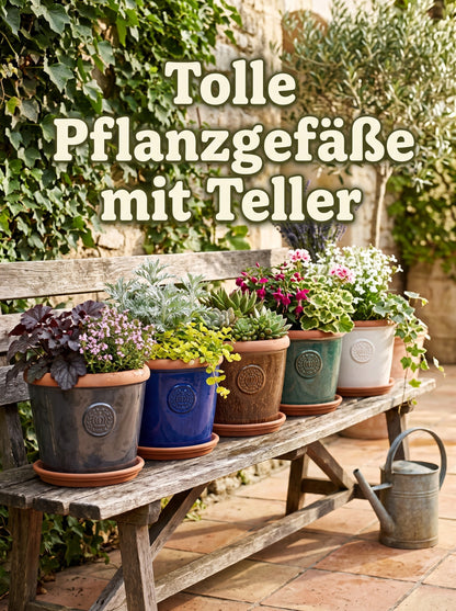 Teramico Pflanzgefäß-Set Provence Moosgrün mit Krone-Motiv & Terracotta-Teller