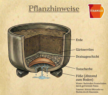 Pflanzschale "Amsterdam" Moosgrün – Ø 21 bis 38 cm – Frostfestes Steinzeug