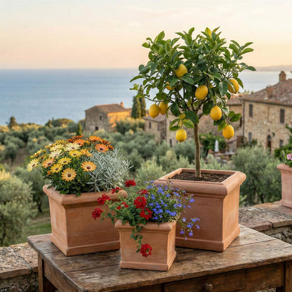 Terrakotta Topf quadratisch 25,8x25,8x24cm – frostfest & handgefertigt | Toscana