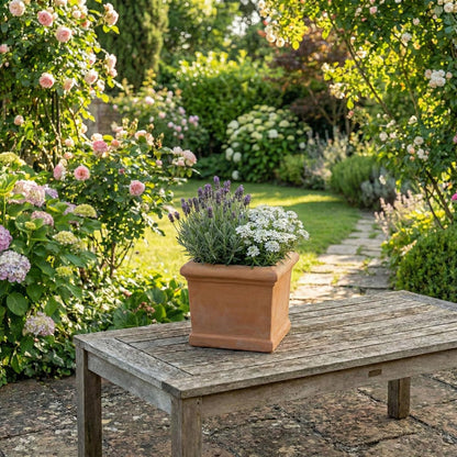 Terrakotta Topf quadratisch 25,8x25,8x24cm – frostfest & handgefertigt | Toscana