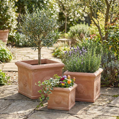 Terrakotta Topf quadratisch 25,8x25,8x24cm – frostfest & handgefertigt mit Rosette