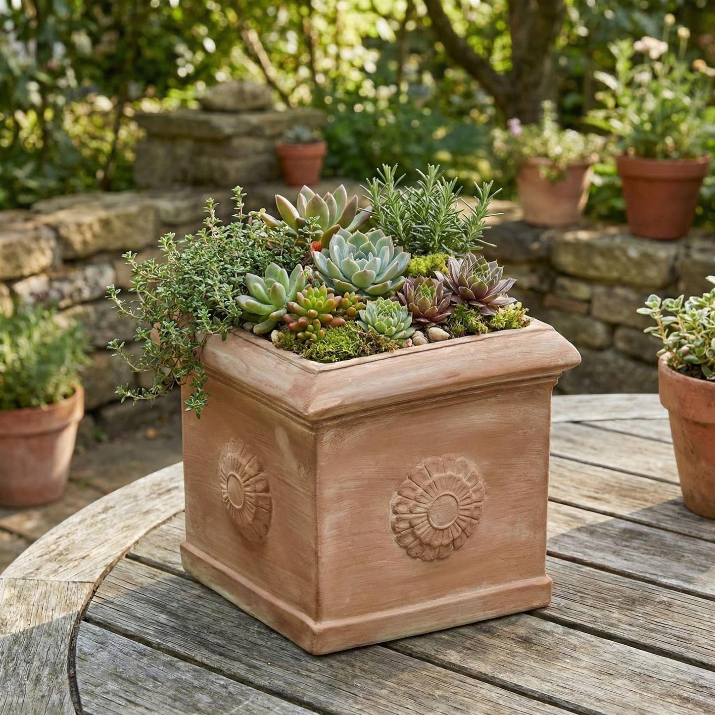 Terrakotta Topf quadratisch 25,8x25,8x24cm – frostfest & handgefertigt mit Rosette