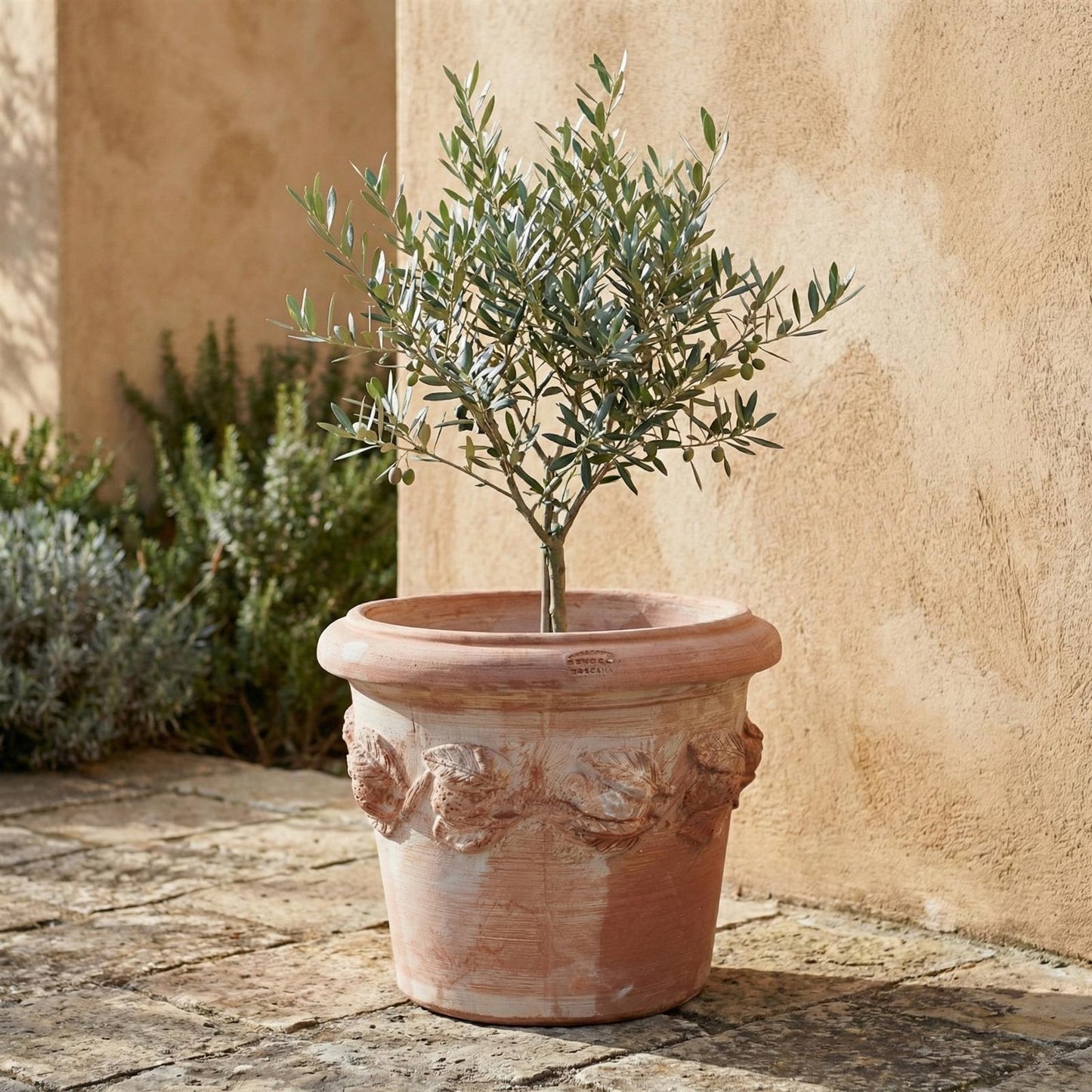 Terrakotta Topf Ø48cm – frostfest & handgefertigt | Limoni Toscana Pflanzgefäß