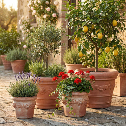 Siena Limoni (Ø 20cm x H 17cm)