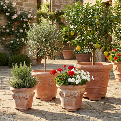 4er-Set Siena Conca Limoni XXL-Terrakotta – Ø 80 cm