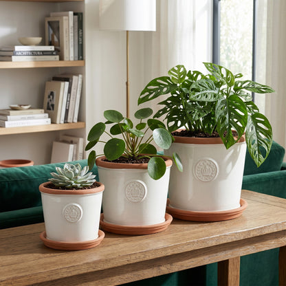 Teramico Pflanzgefäß-Set Provence Cremeweiß mit Krone-Motiv & Terracotta-Teller