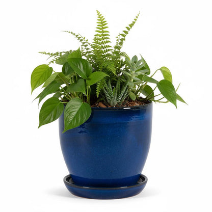 Pflanzgefäß Modell "EggPot" 38cm Keramik in Royal Blau mit Teller