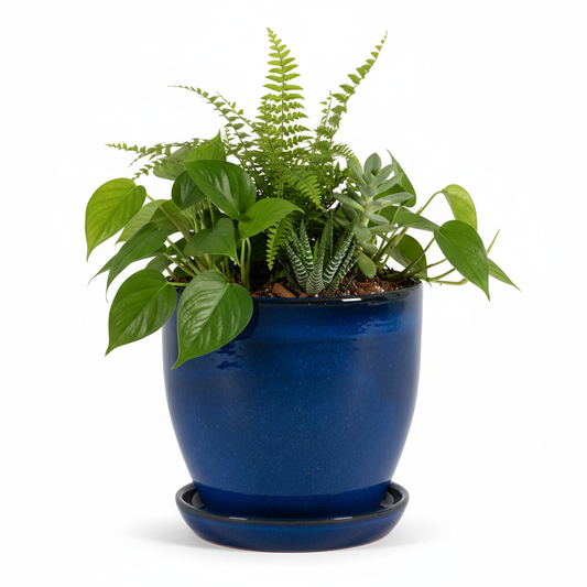 Blumentopf aus Keramik Modell "EggPot" 27cm Royal Blau mit Teller