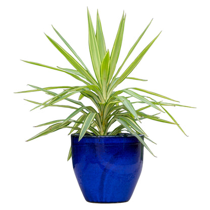 Blumentopf Pflanzgefäß Modell "EggPot" 30cm Keramik Royal Blau