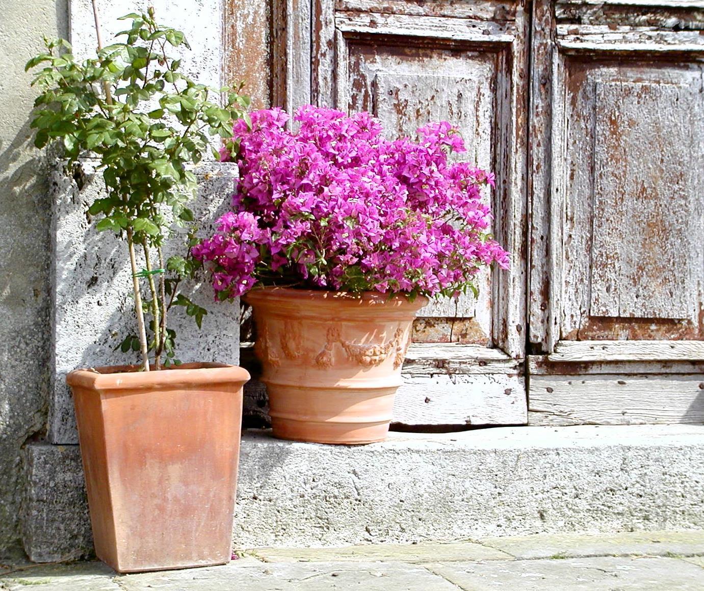 2 X Siena Festone 110 cm