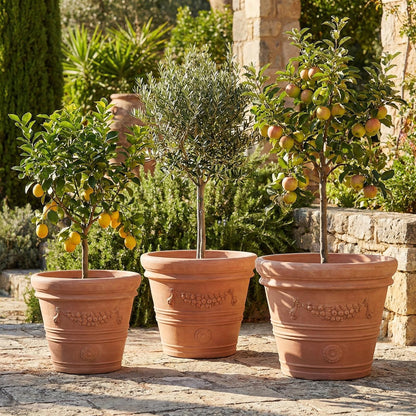 XXL Terrakotta Pflanzkübel "Festonato" – Ø 45 cm – Italienisches Design – Handarbeit – Frostfest