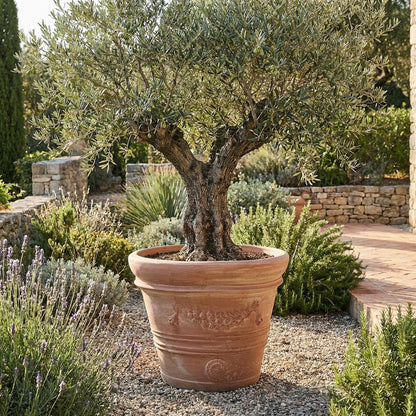 Pflanzgefäß Terrakotta "Doppio Bordo Festonato" 70cm