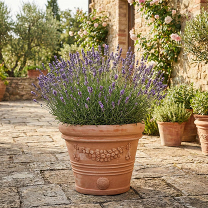 XXL Terrakotta Pflanzkübel "Festonato" – Ø 45 cm – Italienisches Design – Handarbeit – Frostfest