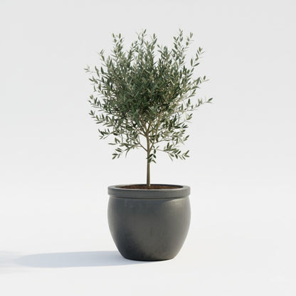 Keramik Pflanzgefäß "Bavaria" Anthrazit – Wählbare Größen (21-37cm