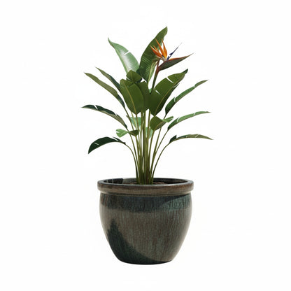 Keramik Pflanzgefäß-Serie "Bavaria Tall" Moosgrün – Wählbare Größen (21-37cm)