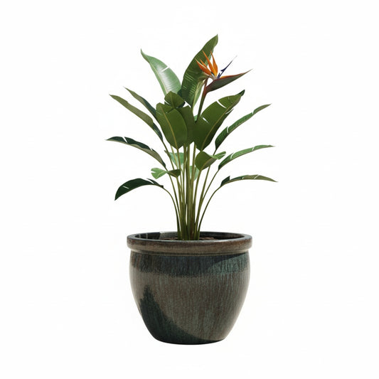 Keramik Pflanzgefäß-Serie "Bavaria Tall" Moosgrün – Wählbare Größen (21-37cm)