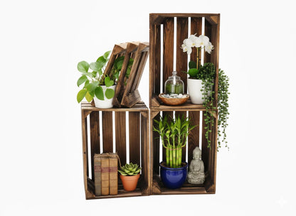 Caisse à fruits caisse en bois caisse à vin 40 x 30 x 25 cm SET de 3 fond flammé en vrac