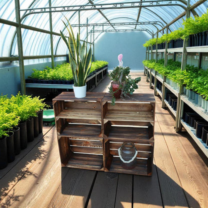 Obstkisten Geflammt 50 x 40 x 30cm 4er Set Regal Lang